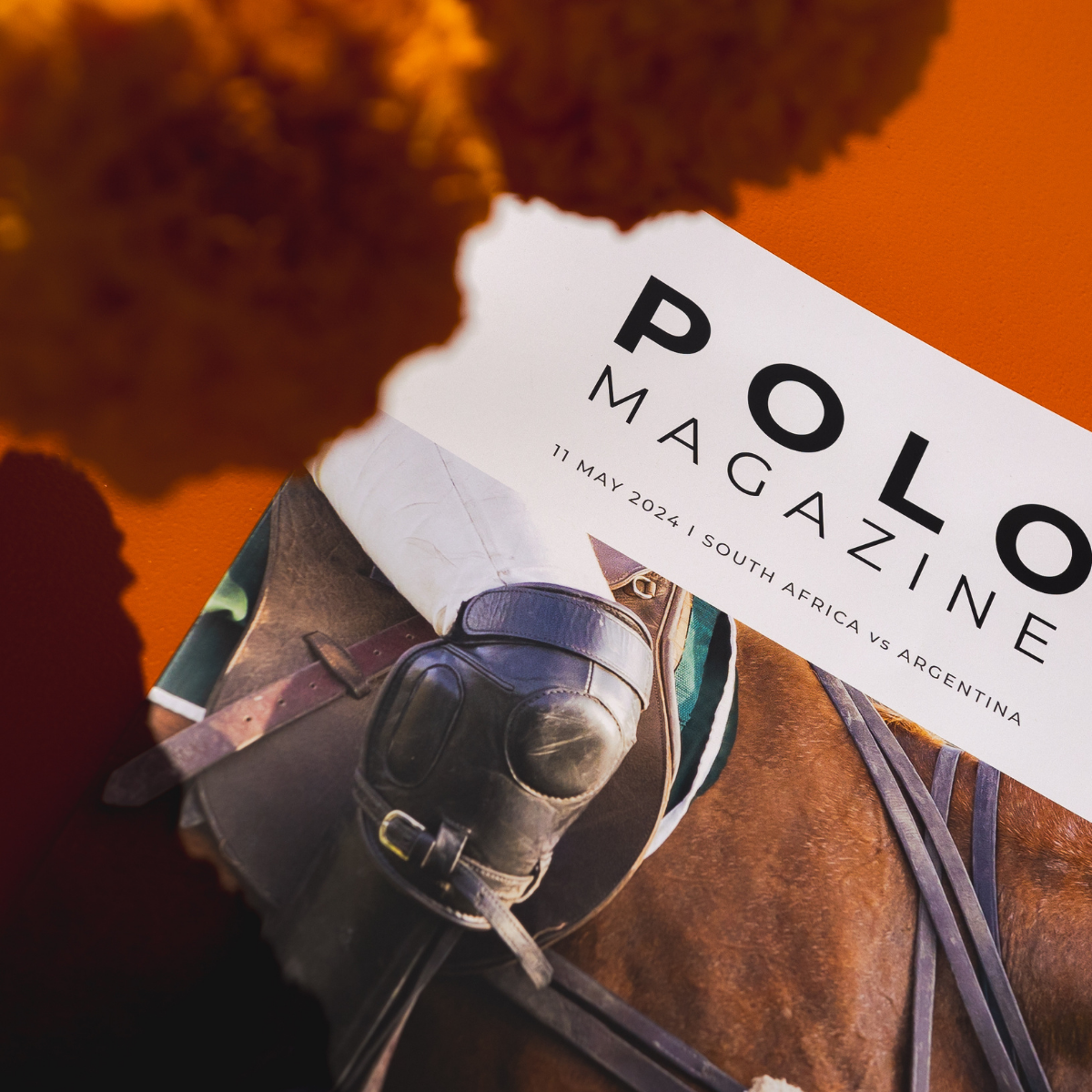 International Polo Events